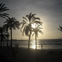 ledzenyi-viktoria-spain-2015-del-rey-7